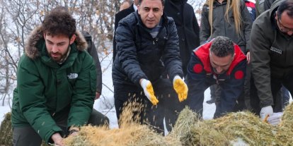 Vali Aygöl, yaban hayvanları için sahada