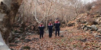 Diyarbakır’ın ekolojik dengesi Çevre ve Doğal Hayatı Koruma Kısmı tarafından korunuyor