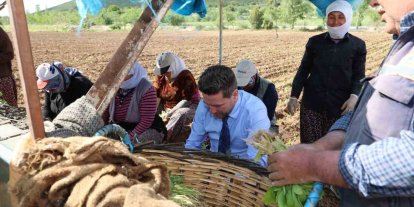 Başkan Tatık’tan tütün firmalarına ’Alım takvimi açıklayın’ çağrısı