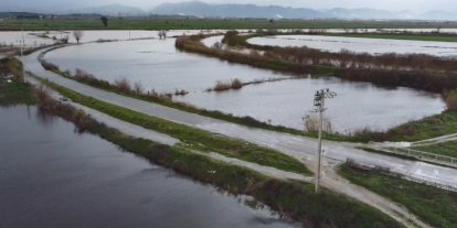 Büyük Menderes nehrindeki taşkın karayolunu kapattı