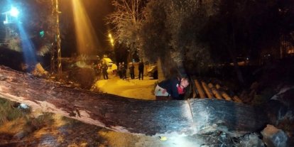 Defne’de devrilen ağaç yolu kapattı