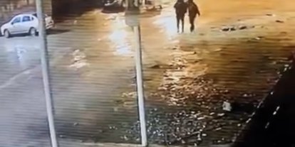 Siverek’te 19 koyun çalındı: Hırsızlık anı kamerada