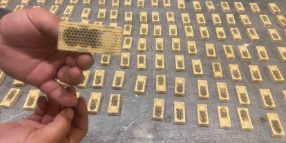 Ticaret Bakanlığı, 2025 yılında da kaçak canlı hayvan ticaretine geçit vermedi