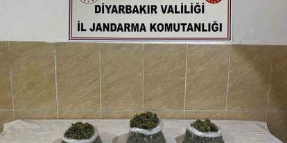 Diyarbakır’da uyuşturucu operasyonları: 12 şüpheli hakkında işlem yapıldı