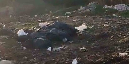 Vatandaşların kirlettiği ormanlık alanı muhtar temizledi