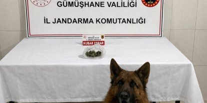 Gümüşhane’de uyuşturucu operasyonu