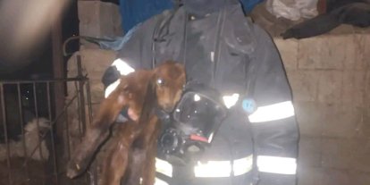 Hatay’da ahırda korkutan yangın