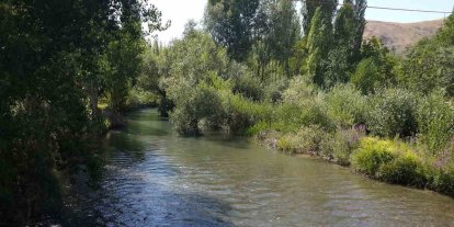 Tohma Çayı’nın ekolojik sağlığı bilimsel olarak ortaya kondu