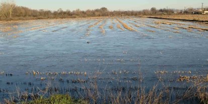 Taşkın sularının kapladığı tarım arazileri buz tuttu