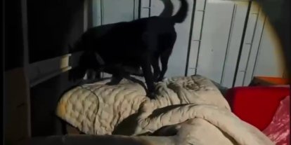 Kamyonet kasasında battaniyeyle saklanan 11 kilo 200 gram uyuşturucu yakalandı