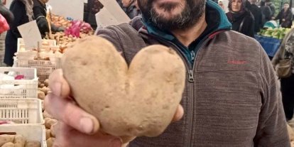 Kalp şeklindeki patates ilgi odağı oldu