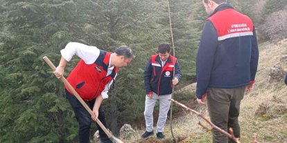 Afyonkarahisar’da 2 bin kestane fidanı toprakla buluşturuldu