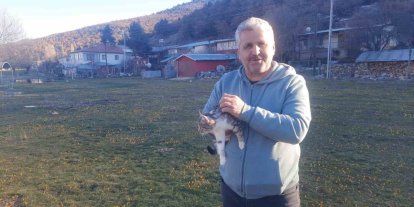 Konya’da aç kalan kediler için 30 kilometre yol gitti