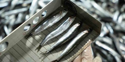 Avcılık denetimlerinde ceza yağdı: 2,6 milyon TL’yi aştı