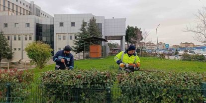 Hastane bahçelerinde budama ve bakım çalışması yapılıyor
