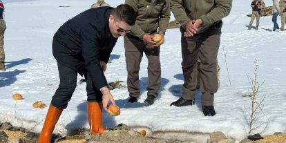 Özalp ilçesinde doğaya yem bırakıldı