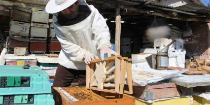 Bu seçimde kazananı ’arılar’ belirleyecek