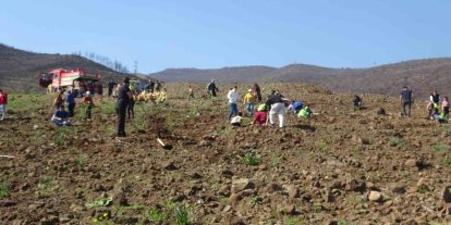 Hatay’da orman yangınından zarar gören alanlarda 5 bin fidan toprakla buluşturuldu