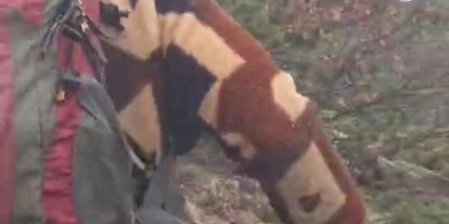 Kuş gözlemi için çıktığı arazide ayı ile karşı karşıya kaldı... Korku dolu anlar kamerada