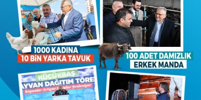 Büyükşehir ile Kayseri, hayvancılıkta yükselişte