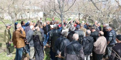 Erzincan’da meyve ağaçlarında budama eğitimi düzenlenecek
