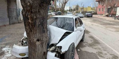 Ehliyetsiz sürücünün kontrolünü kaybettiği otomobil ağaca çarptı... O anlar kamerada