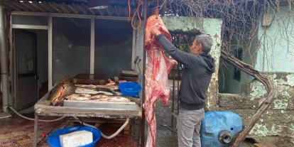 Osmaniye’de 2 metrelik dev yayın balığı vatandaşın ilgi odağı oldu