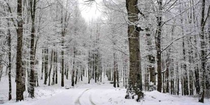 Ordu’nun 15 ilçesinde eğitime kar engeli