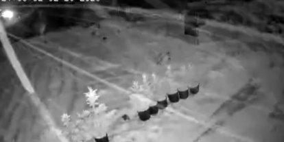 Çankırı’da kar yağışı etkili oluyor