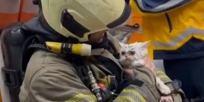 Fatih’te metruk binada çıkan yangın yanındaki ahşap binaya sıçradı: Bir kedi kurtarıldı