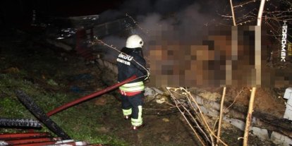 Ordu’da ahır yangını: 27 büyükbaş hayvan telef oldu