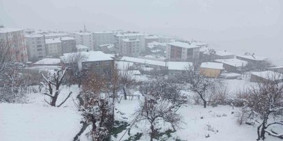 Kulp’ta kar yağışı etkili oldu, ilçe beyaza büründü