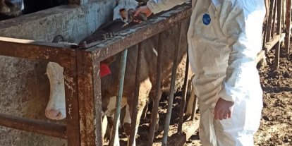 Hayvan sağlığı güvence altına alınıyor