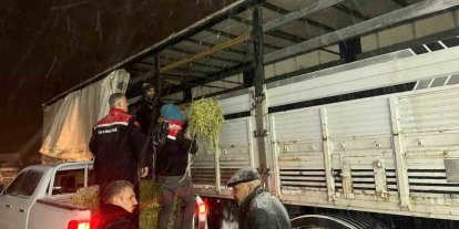 Hayvanlar aç kalmasın diye imdada yetiştiler