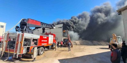 Didim sanayisindeki yangın korkuttu