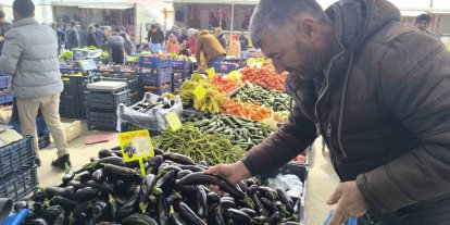 Antalya’daki olumsuz hava şartları patlıcanın tadını kaçırdı