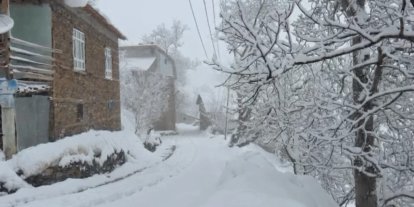 Bahçesaraylılar açtıkları kar tünelleriyle günlük hayatlarını sürdürüyor