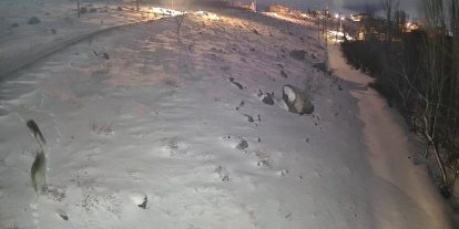 Niğde’de aç kalan kurtlar köye indi