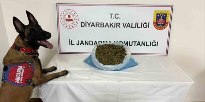 Diyarbakır’da uyuşturucu operasyonu: 14 gözaltı