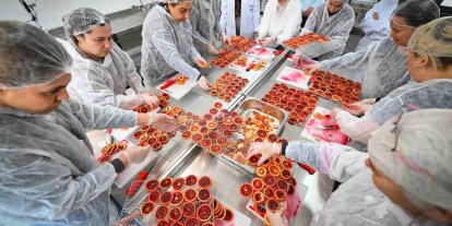 Mersin’de kan portakalı kadınların elinde değer kazanıyor