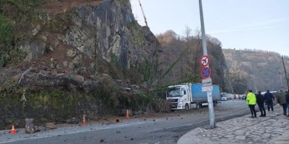 Artvin’de heyelan: Yamaçtan kopan kayalar tırda hasara yol açtı
