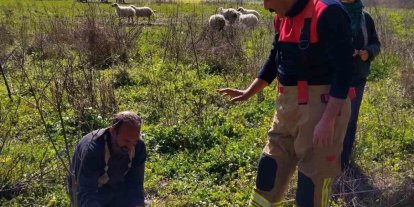 Defne’de kuyuya düşen kuzuyu itfaiye kurtardı