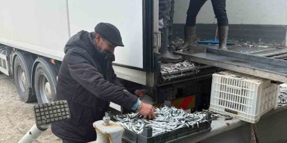 Balıkçı Ramazan’da ücretsiz hamsi dağıttı