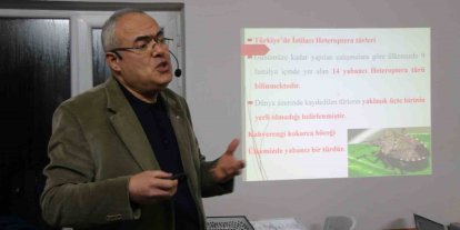 Uzmanı kahverengi kokarca için tarih verdi: "2030 yılından itibaren gündemden çıkmaya başlayacak"