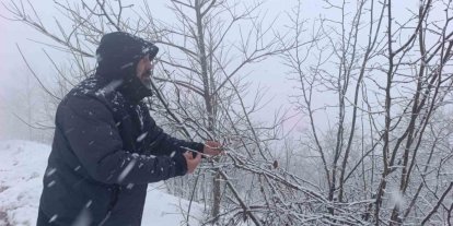 Kar altında kalan fındık bahçeleri, üreticileri tedirgin ediyor