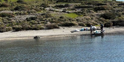 Tilkişen otu toplamaya gittiler, koyu temizlediler
