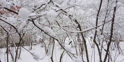 Fındıkta don endişesine bilimsel açıklama: "Şu an risk yok, fayda var"