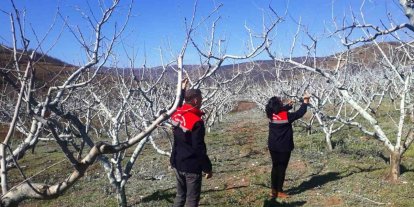 Çiftçilere bordo bulamacı uyarısı