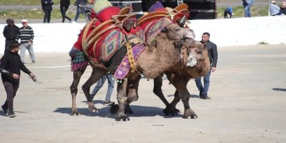 Başkan Kaya: "Bu yıl sezonun ilk güreşlerini yapmak bizlere nasip oldu"