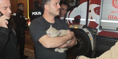 Korkutan yangında mahsur kalan kediyi itfaiye kurtardı